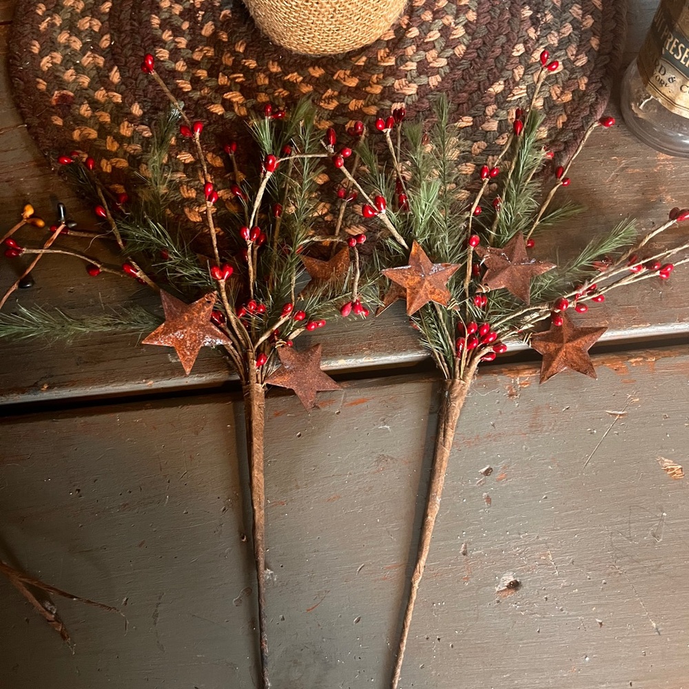 Primitive Star Home Decor 
Rustic Holiday Berry and Stars 2 Picks